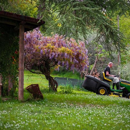 Tuscany Time Montefoscoli المظهر الخارجي الصورة