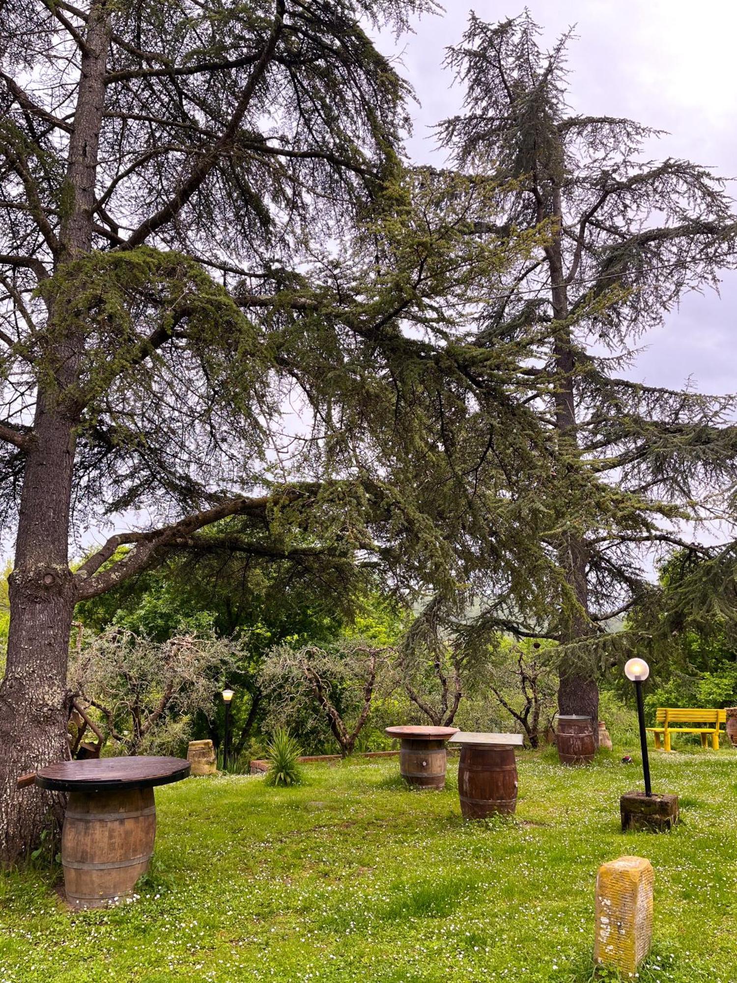 Tuscany Time Montefoscoli المظهر الخارجي الصورة